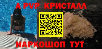 твердый Кингисепп