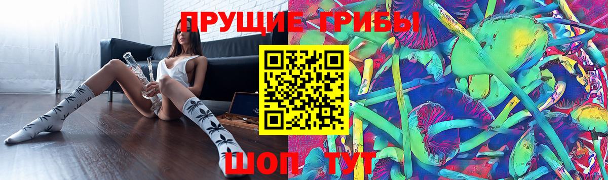 Галлюциногенные грибы Psilocybe  Вход с VPN  Королёв 